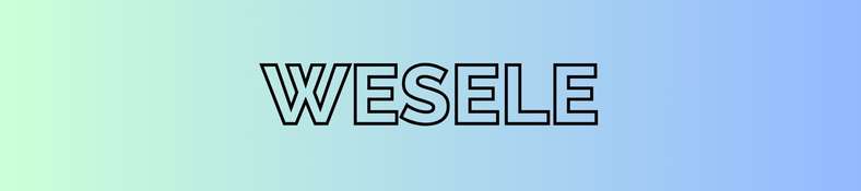 fajerwerki na wesele baner