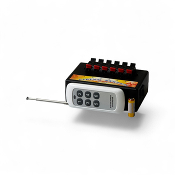 AFSTANDSBEDIENINGSSYSTEEM - 6 KANALEN